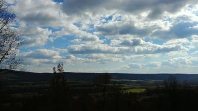 Buchanan State Forest