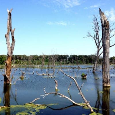 Brushy Creek State Recreation Area