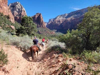 Bryce Canyon National Park / Canyon Trail Rides & Private Stock