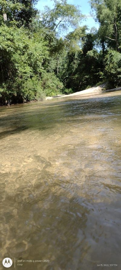 Brushy Creek Horse Trail