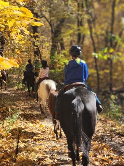 Brushy Creek State Recreation Area