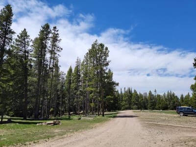 Bucking Mule Falls Trailhead