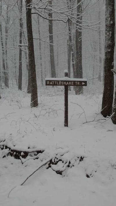 Buchanan State Forest