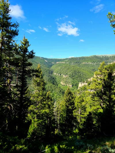 Bucking Mule Falls Trailhead