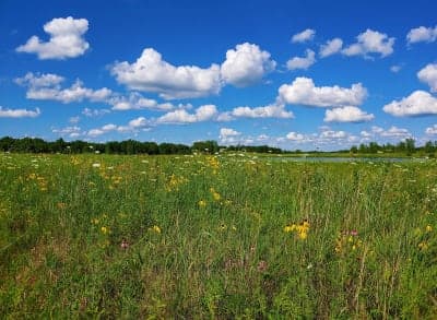 Brushy Creek State Recreation Area