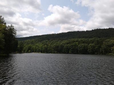 Buchanan State Forest