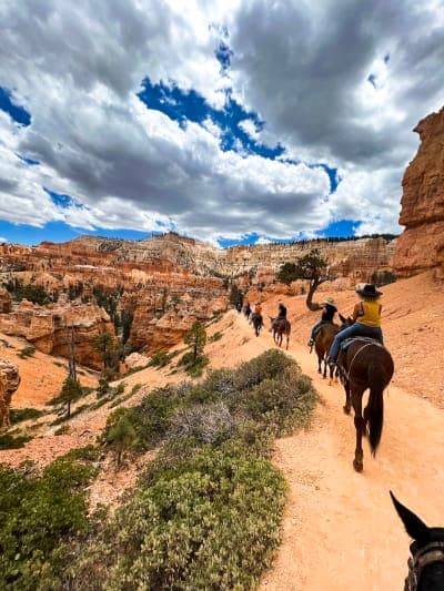 Bryce Canyon National Park / Canyon Trail Rides & Private Stock