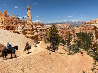 Bryce Canyon National Park / Canyon Trail Rides & Private Stock