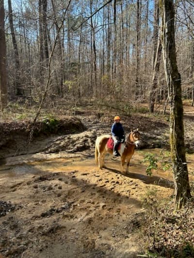 Buncombe Horse Trail