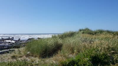 Bullards Beach State Park