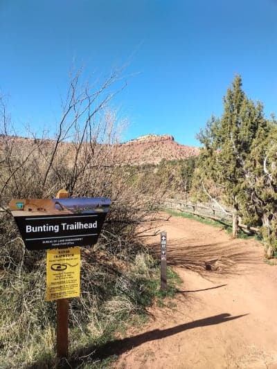 Bunting Trail