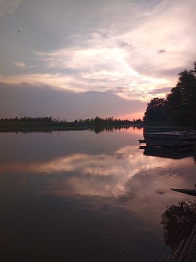 Bussey Brake Wildlife Management Area