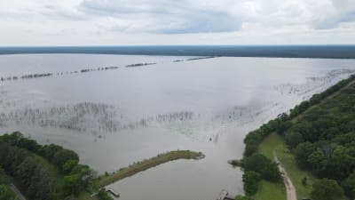 Bussey Brake Wildlife Management Area