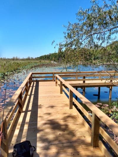 Bussey Brake Wildlife Management Area