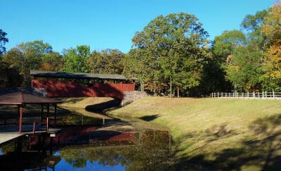 Burns Park