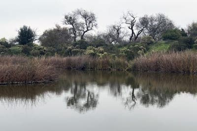 Cache Creek Natural Area