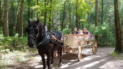 Cades Cove Riding Stables