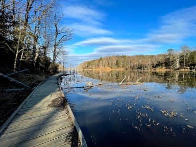 Calvert Cliffs State Park