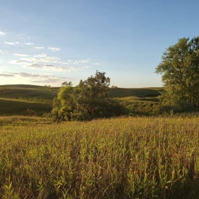 Camden State Park