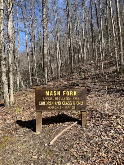 Camp Creek State Park and Forest
