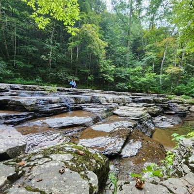 Camp Creek State Park and Forest