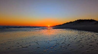 Cape Hatteras National Seashore (designated beach riding areas)