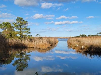 Cape Henlopen State Park