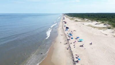 Cape Henlopen State Park