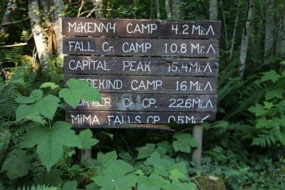 Capitol State Forest (Mima Falls / Margaret McKenny)
