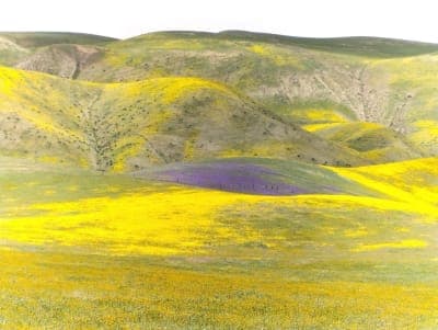 Carrizo Plain National Monument