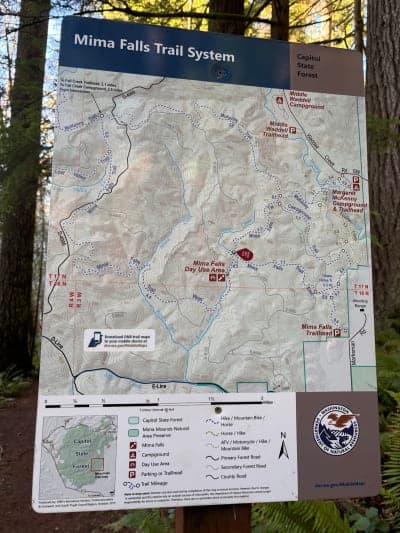 Capitol State Forest (Mima Falls / Margaret McKenny)