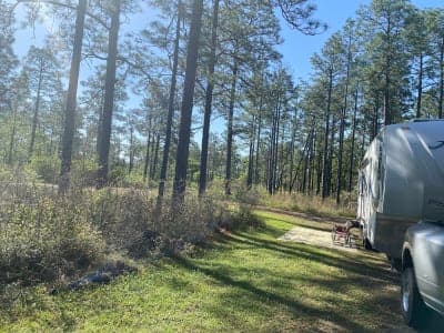 Caroline Dormon Trail / Trailhead