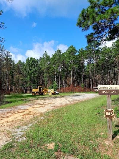 Caroline Dormon Trail / Trailhead