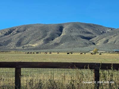 Carson River Park & Trail Connections