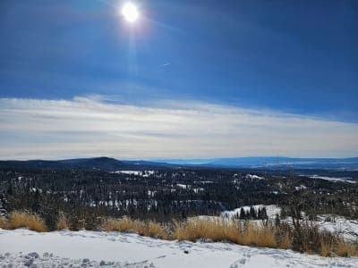 Carson National Forest