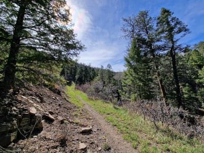 Carson National Forest