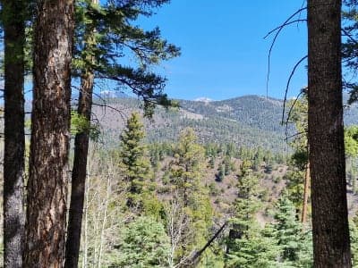Carson National Forest