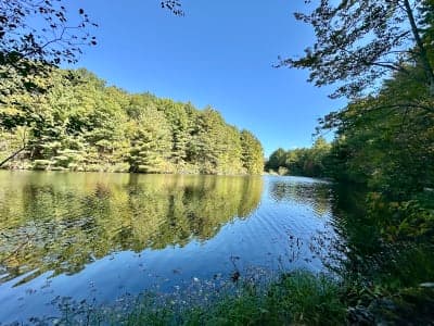 Case Mountain Recreation Area (Manchester)