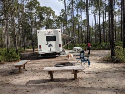 Cary State Forest