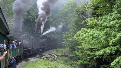 Cass Scenic Railroad State Park