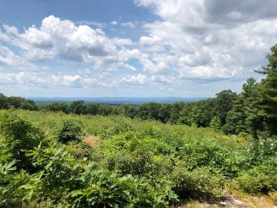 Case Mountain Recreation Area (Manchester)