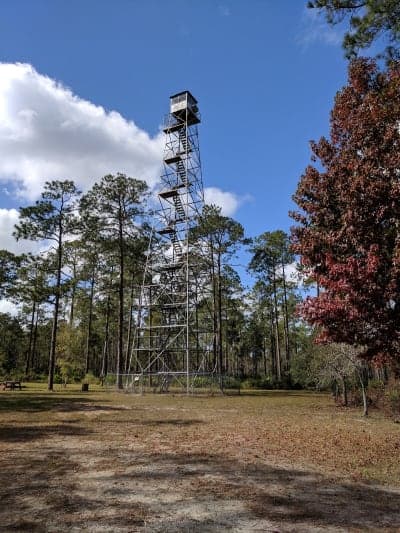 Cary State Forest