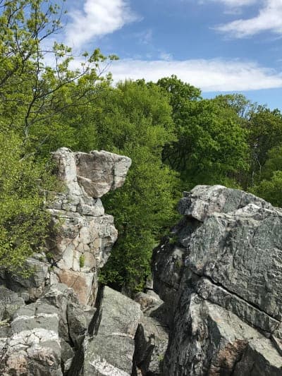 Catoctin Mountain Park