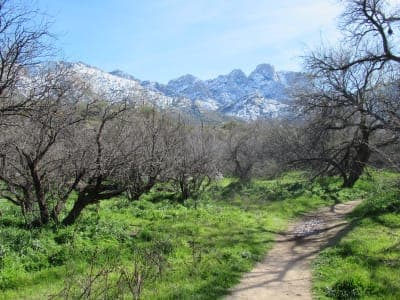 Catalina State Park