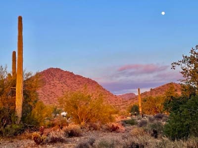Cave Creek Regional Park