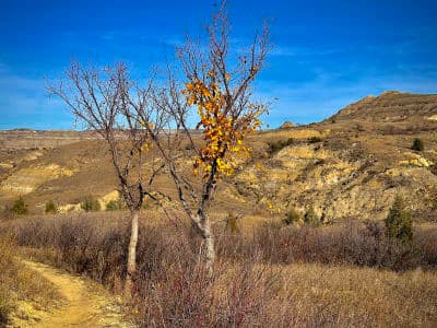 CCC Campground / Maah Daah Hey Access