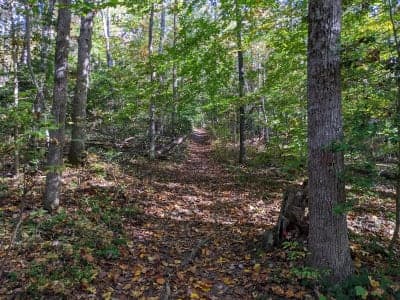 Cedarville State Forest