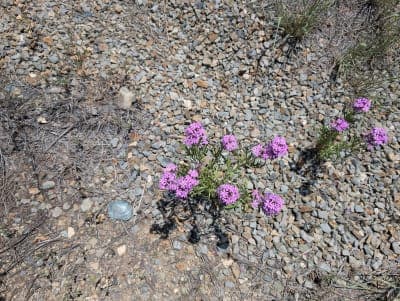 Cerrillos Hills State Park
