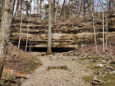 Cedars of Lebanon State Park
