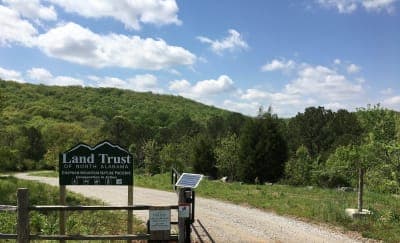 Chapman Mountain Nature Preserve